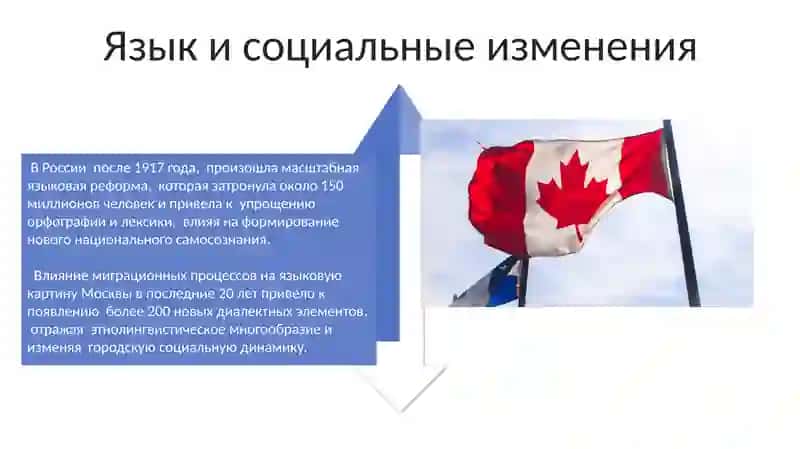 Язык как деятельность и национальное сознание. Внутренняя и внешняя формы языка 4
