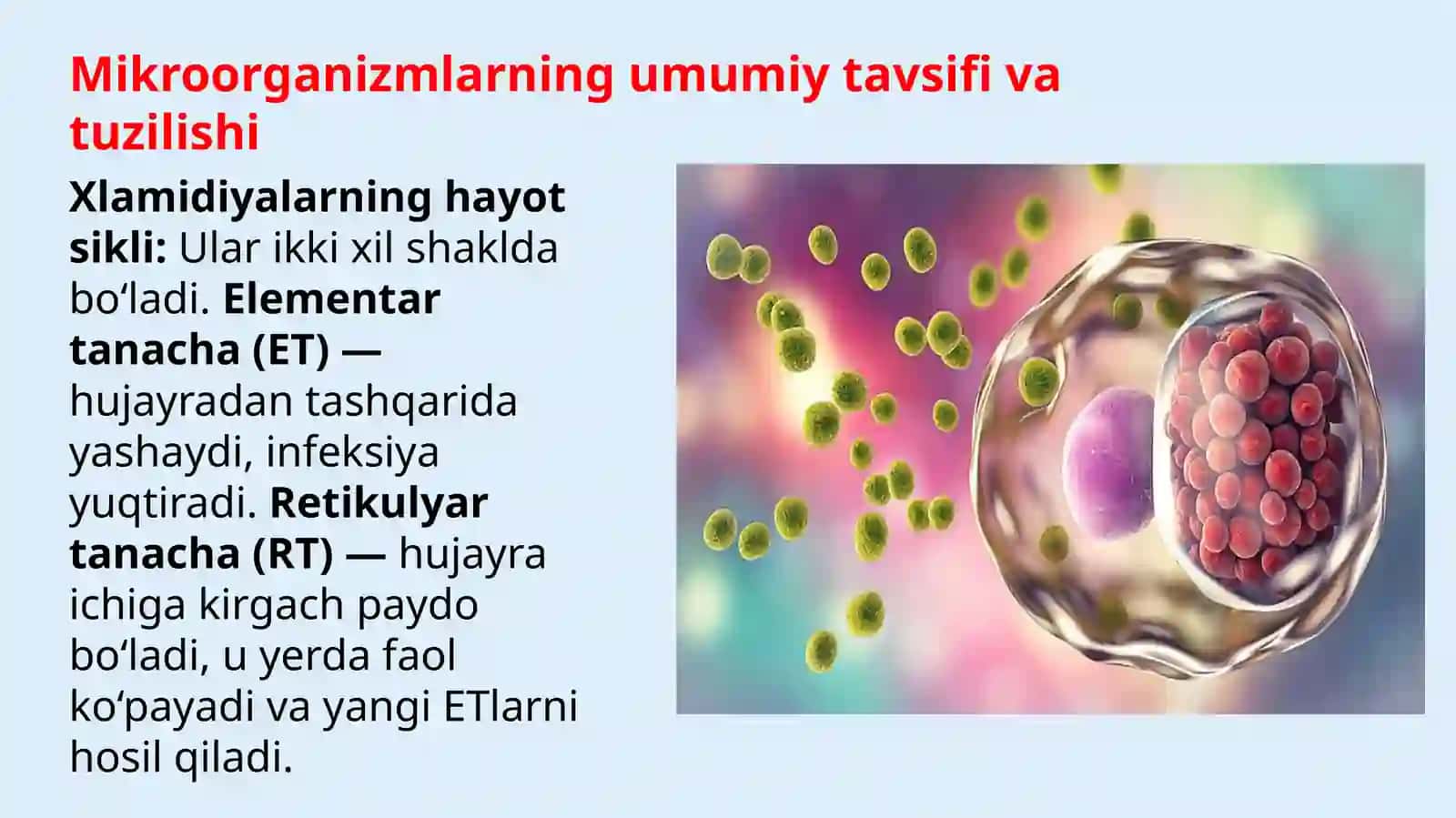 patogen xlamidiya va mikoplazma qoʻzgʻatuvchilari 4