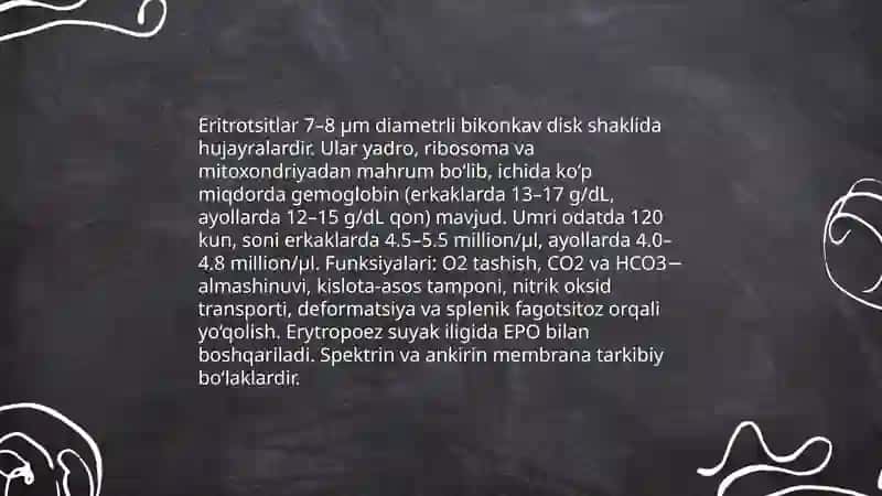 Qonning tuzilishi, funksiyalari va yoshga oid xususiyatlari 4