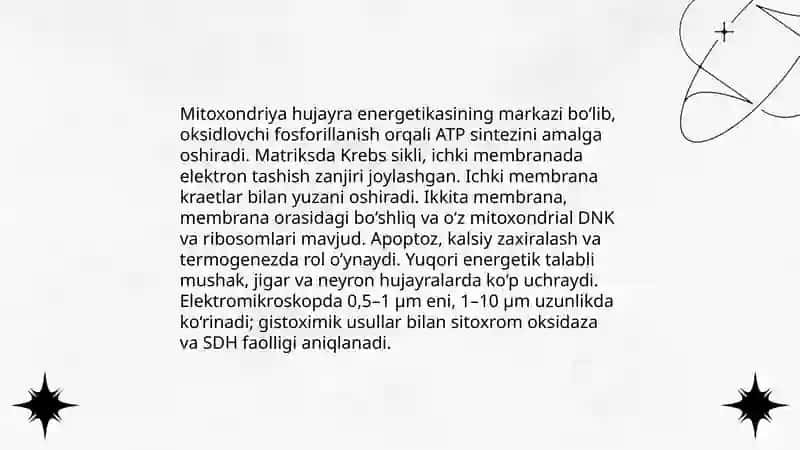Hujayra elementlarning funksiyalari va gistalogik sturukturasi 4