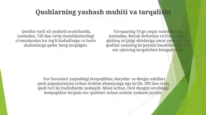 Biozararlovchi Qushlar 4
