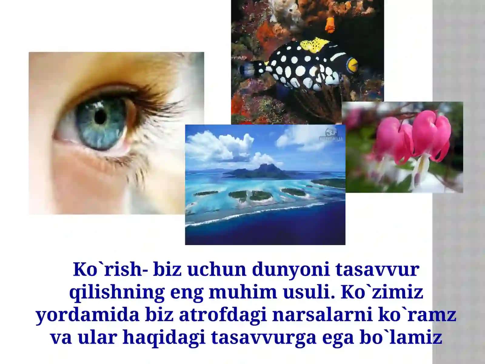 Eshitish organini o`tishda yangi pedagogik texnologiyadan foydalanish 4