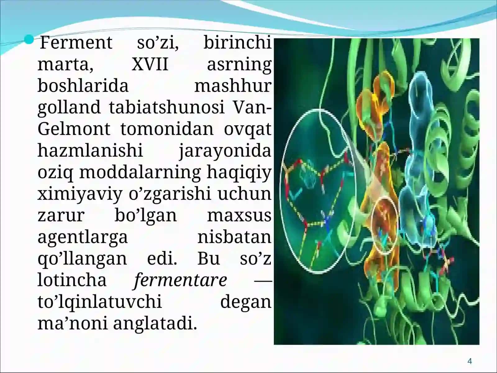 Fermentlarning roli haqidagi dastlabki tushunchalar 4