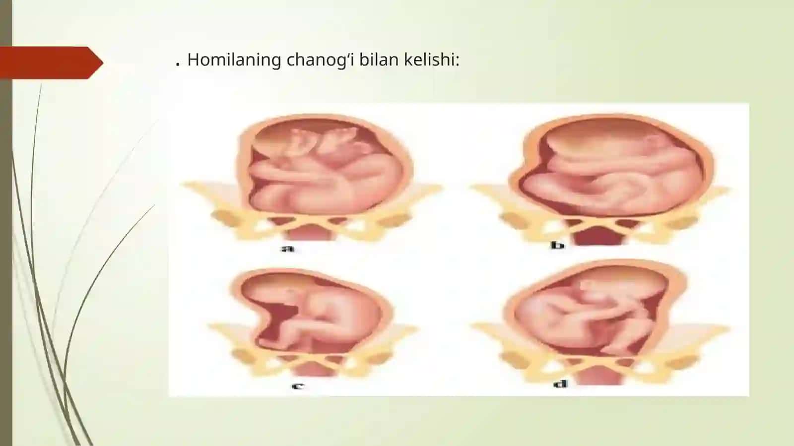 Homilanichanog‘ibilankelishi 4