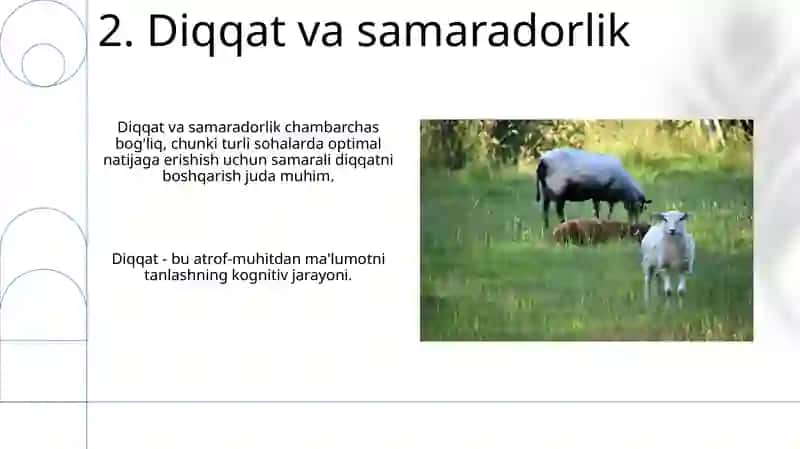 Diqqat 4