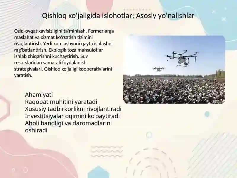 O’zbekistonda bozor infratuzilmasining shakllanishi, qishloq xo’jaligidagi islohotlar, uning vazifalari va yo’nalishlari 4