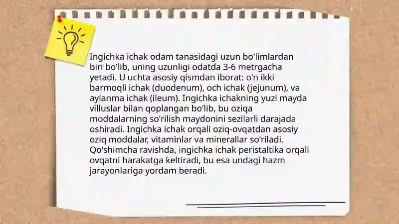 Ingichka ichak va yoʻgʻon ichakda hazm fiziologiyasi 4
