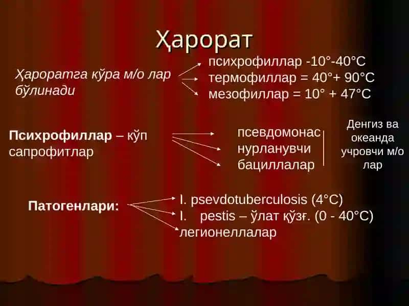 Ташқи муҳит омилларининг микроорганизмларга таъсири 4