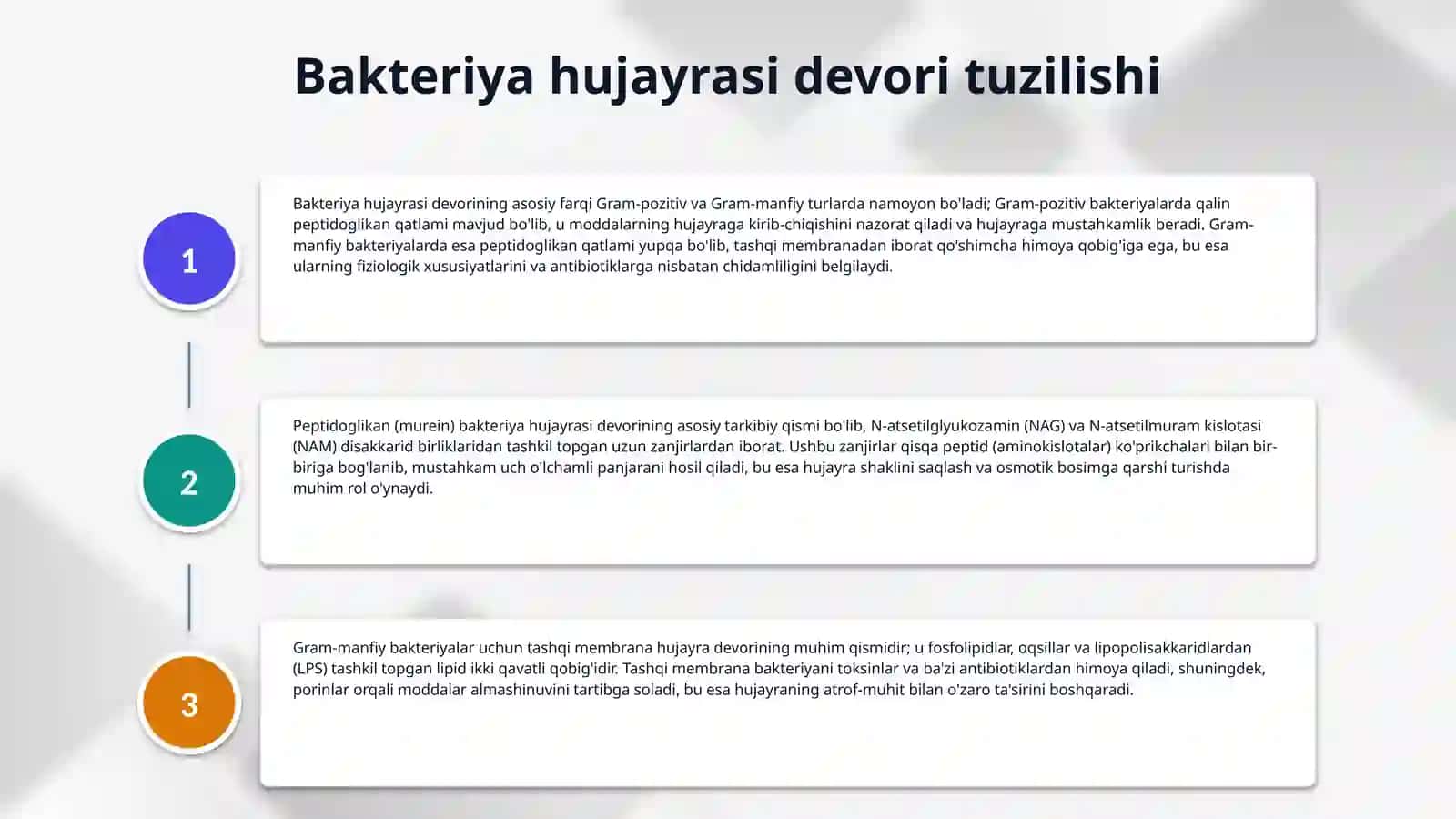 Bakteriyalar ulturastrukturasi bakteriyalarning fiziologiyasi oziq muhitlar 4