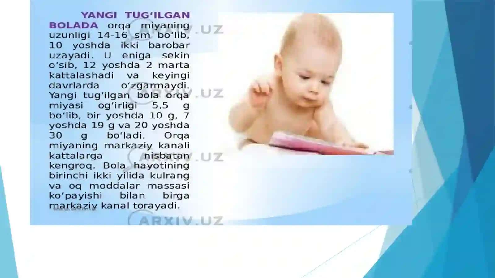 Bolalarda  bosh miyaning morfologik va funksional xususiyatlari .Tug’ilgandan keyin  markaziy asab tizimining o’sishi va differtsirovkasi ,mielenizatsya jarayoni ,asab tizimining har xil  bo’limlari rivojlanish 4
