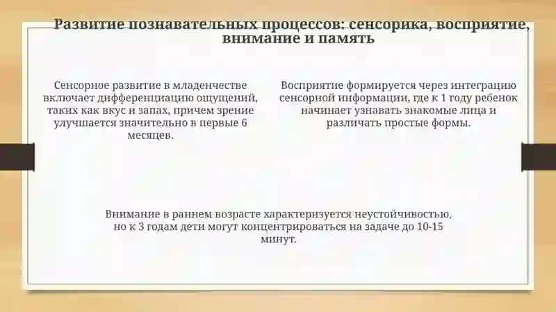 Особенности психического развития человека на ранных этапах онтогенеза 4