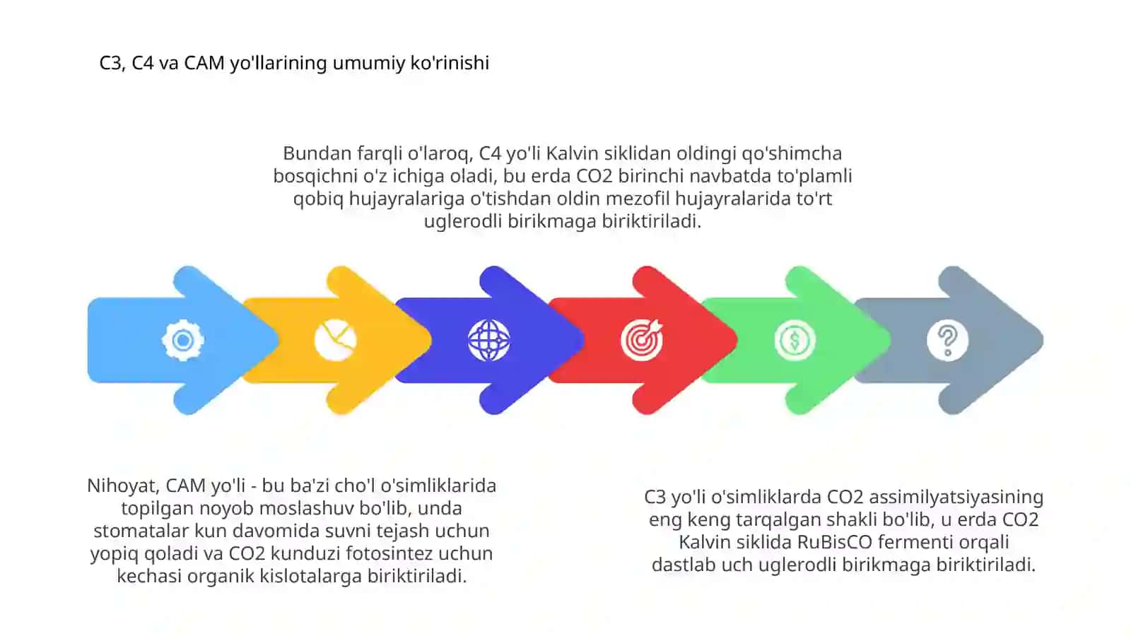 O'simliklarda CO2 oʻzlashtirishning C3 C4 va CAM yoʻllariga izoh bering 4