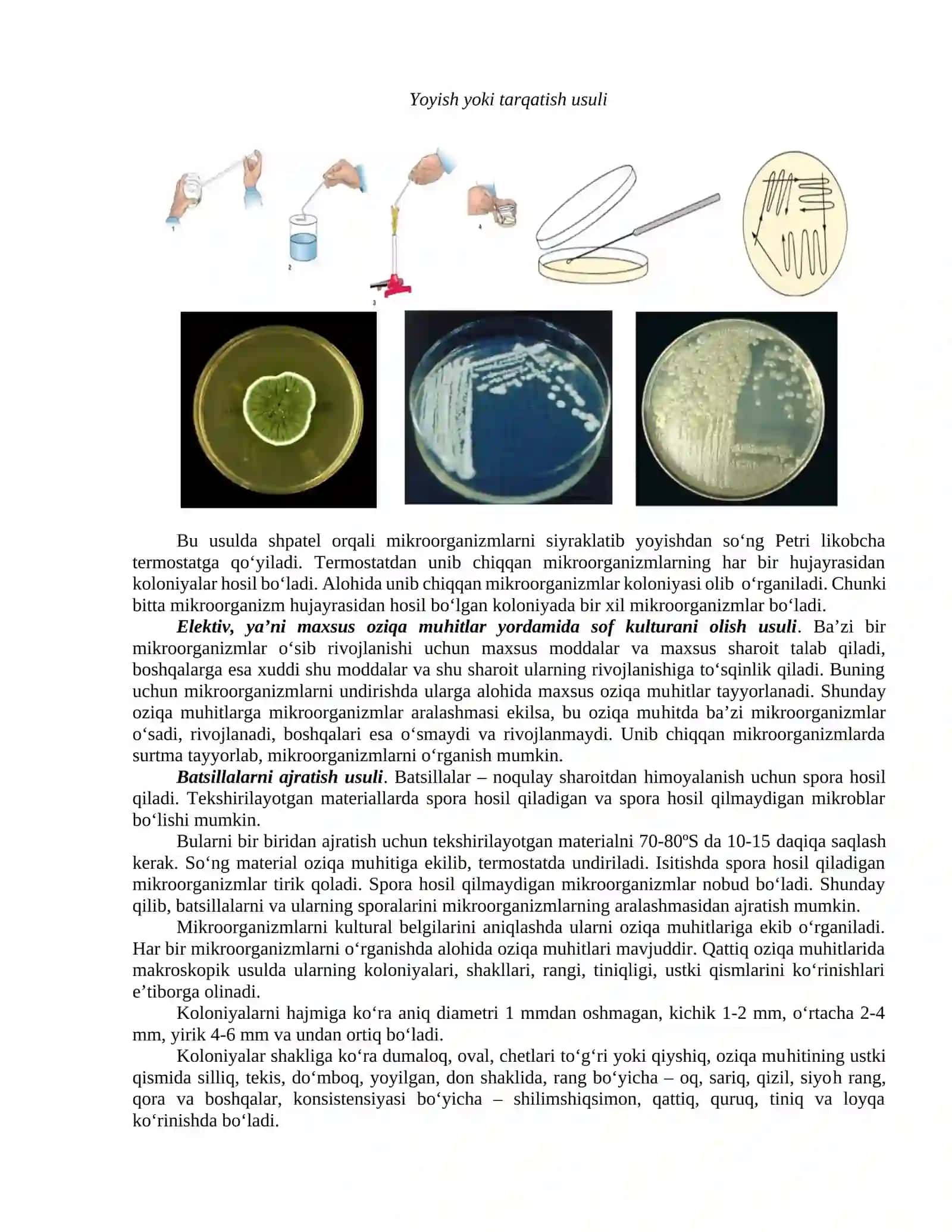 Mikroorganizmlarni ekish va sof kulturasini ajratib olish usullari 4