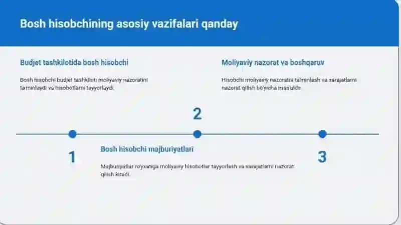 Budjet tashkiloti bosh hisobchisining roli va vazifalari 4
