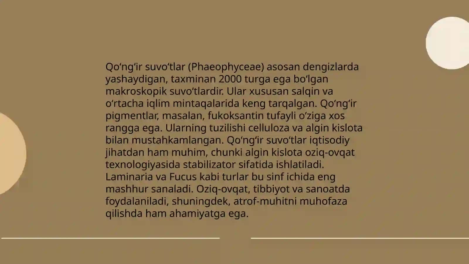 Qoʻngʻir suvoʻtlar anatomiyasi 4