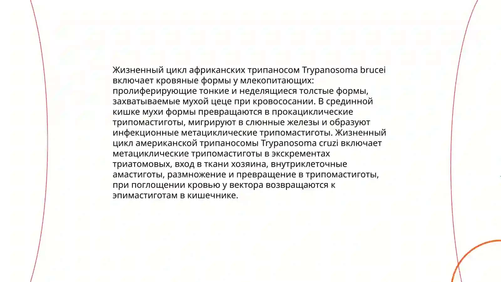 Xivchinlilar – odam parazitlari: tripanasoma, leyshmaniya, trixomonada va lyambliya 4