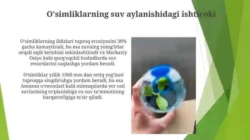 O'simliklarning muhofaza qilish usullari 4