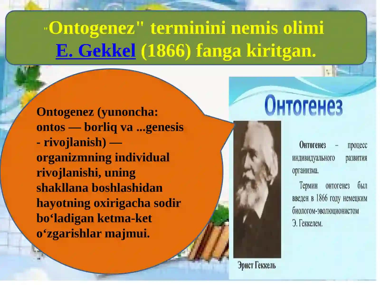 Ontogenizning ilkrivojlanish bo'qichlari 4