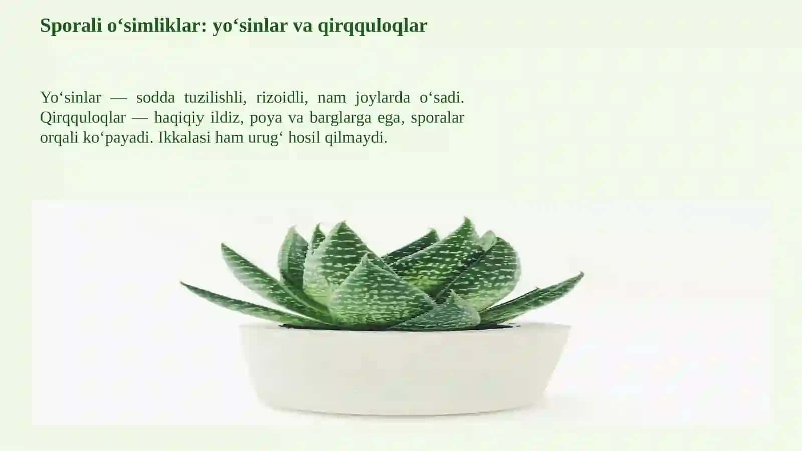O‘SIMLIKLARNING TURLARI VA XILMA-XILLIGI 4