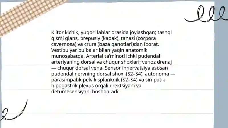 Ayollar jinsiy aʼzosining anatomiyasi va fiziologiyasi 4