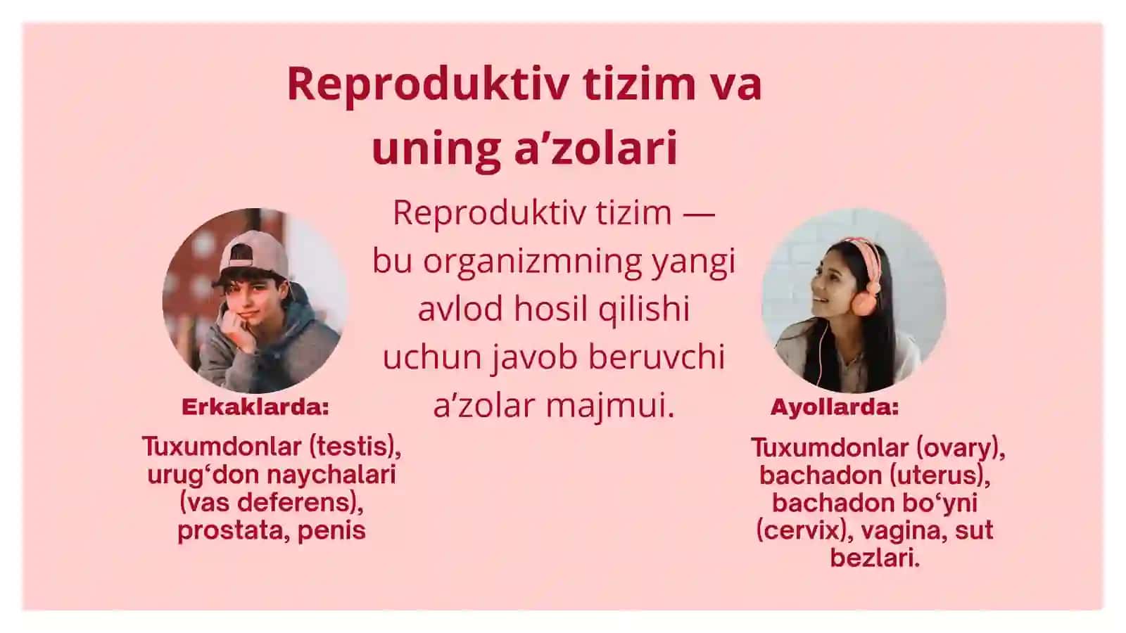 Ayollar va erkaklar reproduktsiya a'zolari kasalliklari 4