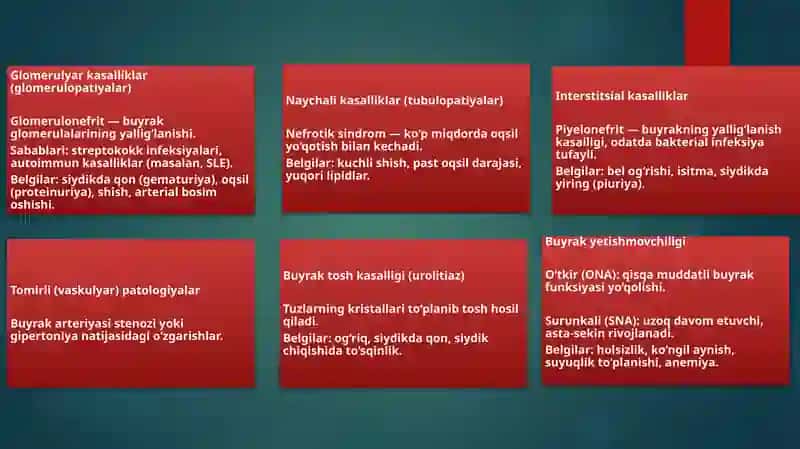 buyrak patalogiyasi 4
