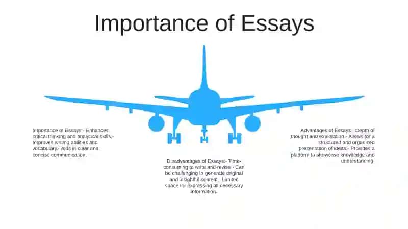 Advantage And Disadvantages Essay 4