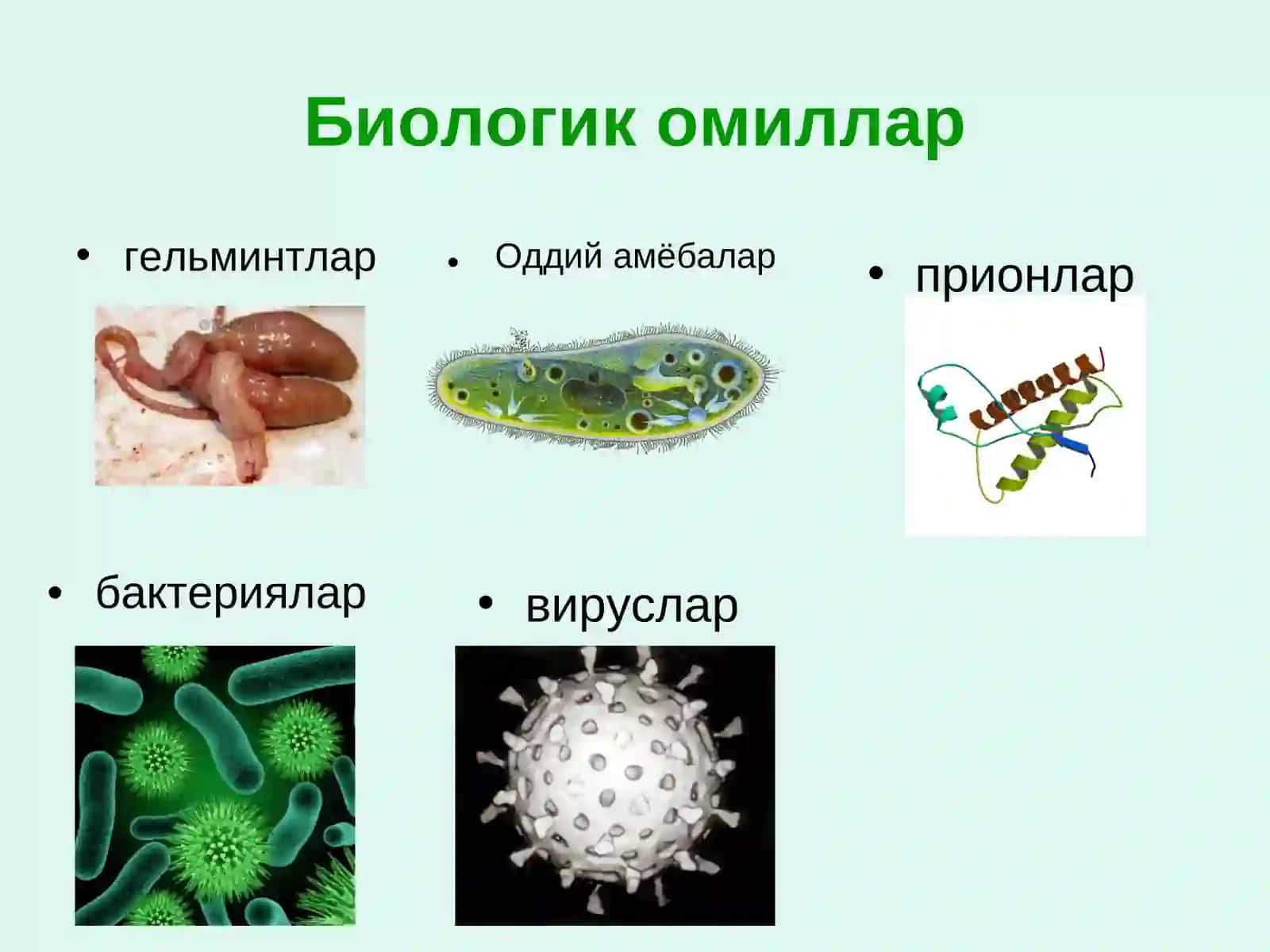 Токсинлар 4