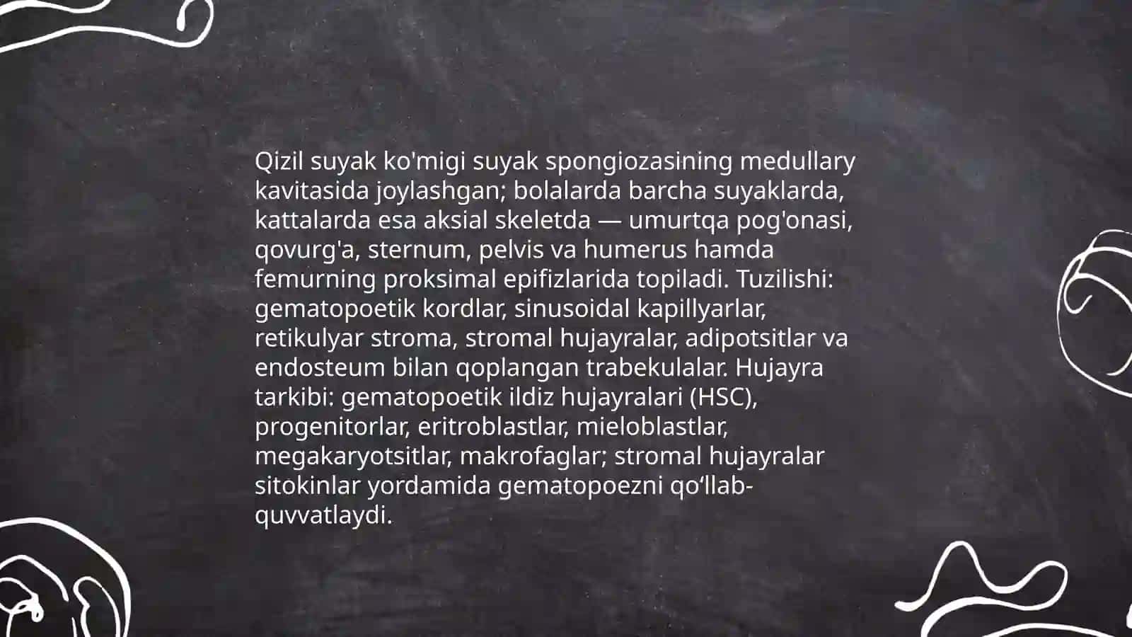 Qizil suyak ko'migi. Ayrisimon bez va tuzilishi 4