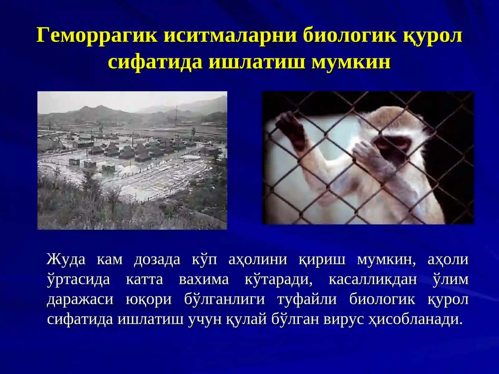 Қрим-Конго геморрагик иситмаси 4
