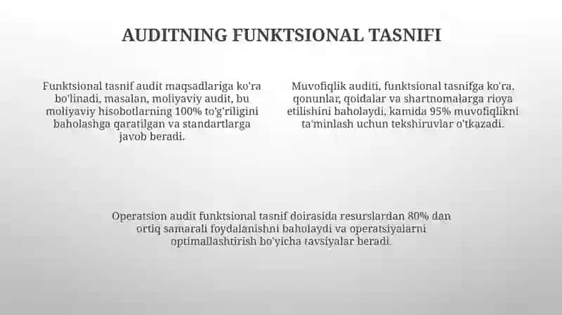 Audit turlari va funksional tasnifi 4