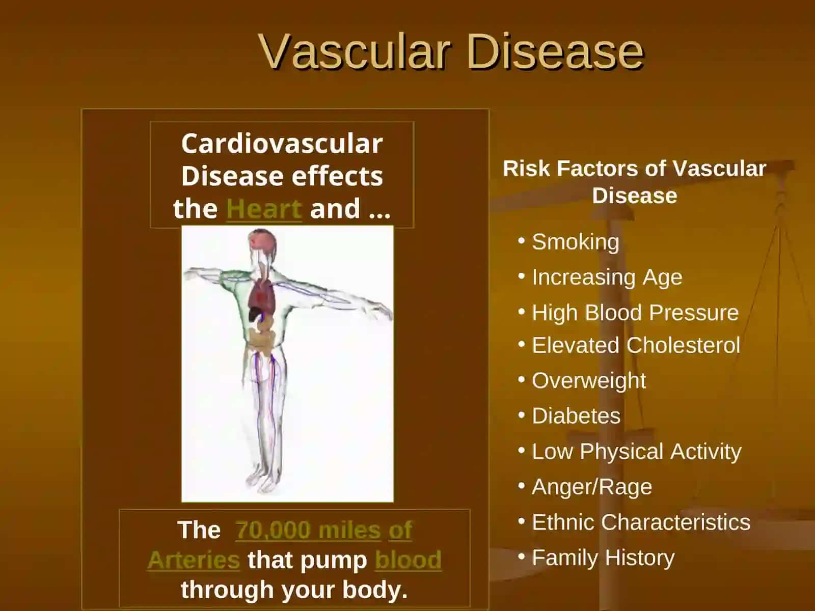 Balancing a Healthy LifestyleA Series of Educational Seminars for Patients 4