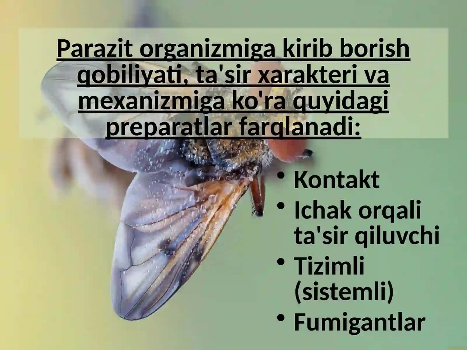 Insektoakaritsidlar va rodentsidlar xarakteristikasi 4