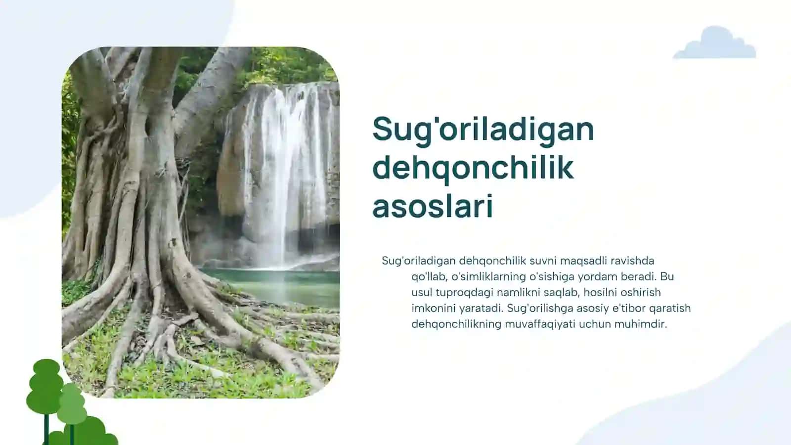 Sugʻoriladigan dehqonchilikning fiziologik xossalari 4