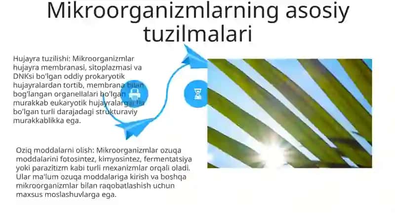 Mikroorganizmlarning Fiziologiyasi 4