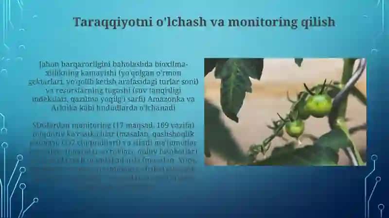 Globallashuv va barqaror taraqqiyot falsafasi 4