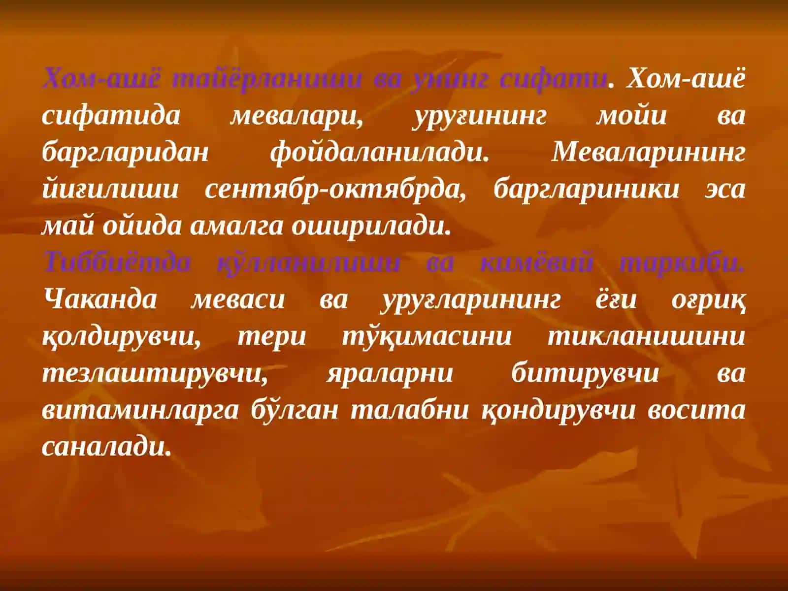 ЧАКАНДА – ОБЛЕПИХА КРУШИНОВИДНАЯ - HIPPOPHAE RHAMNOIDES L 4