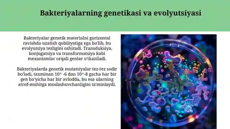 Bakteriyalar: Mikrobiologiyaning asosiy toshi 4