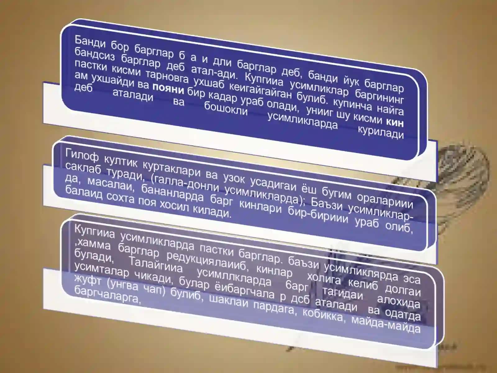 O’simliklar anatomiyasi va fiziologiyasi 4