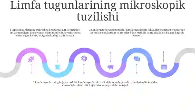 Limfa Tugunlari 4