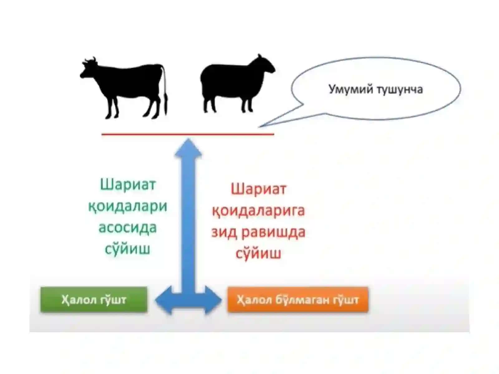 Ислом молияси 4