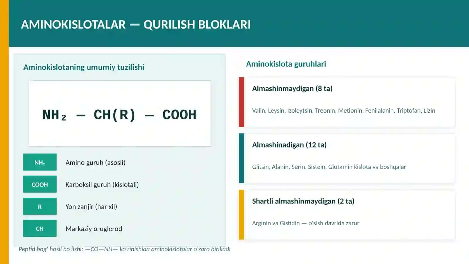Oqsillar 4
