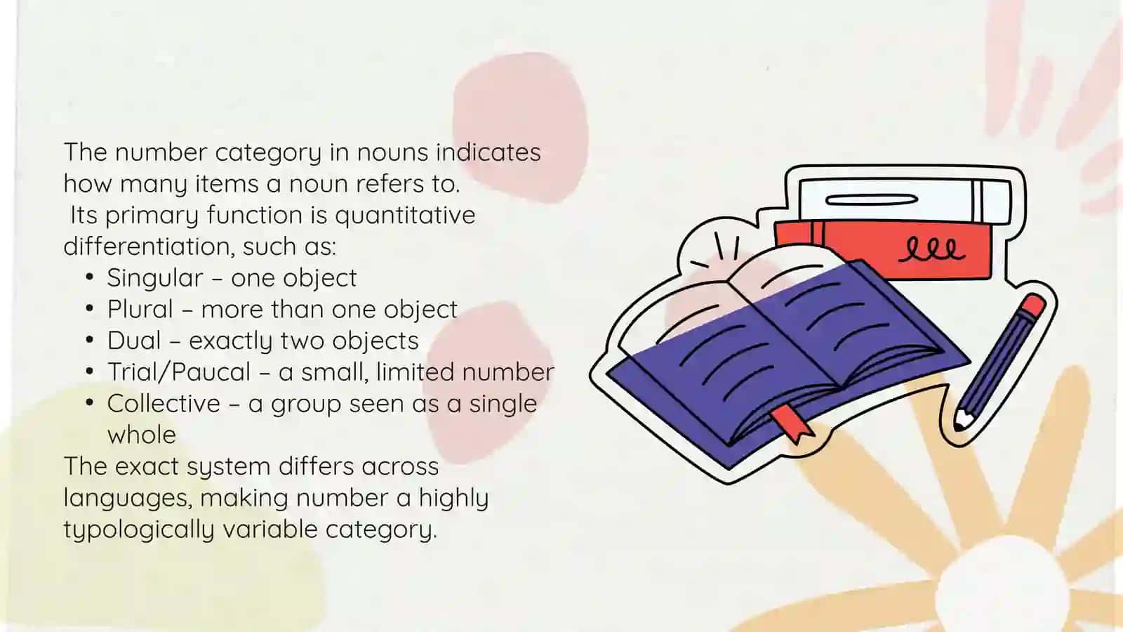 Typological category of number of nouns 4