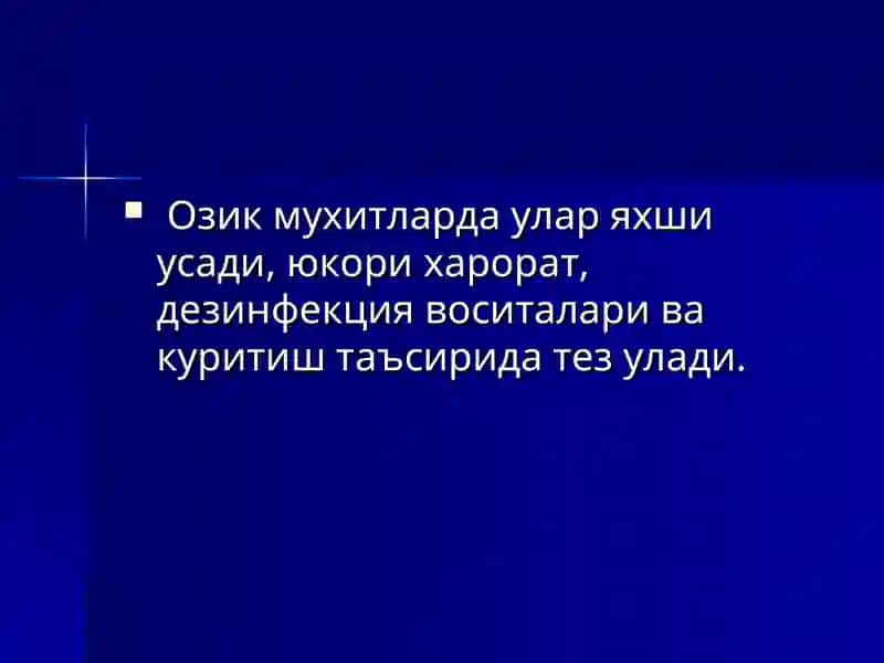 Улат 4