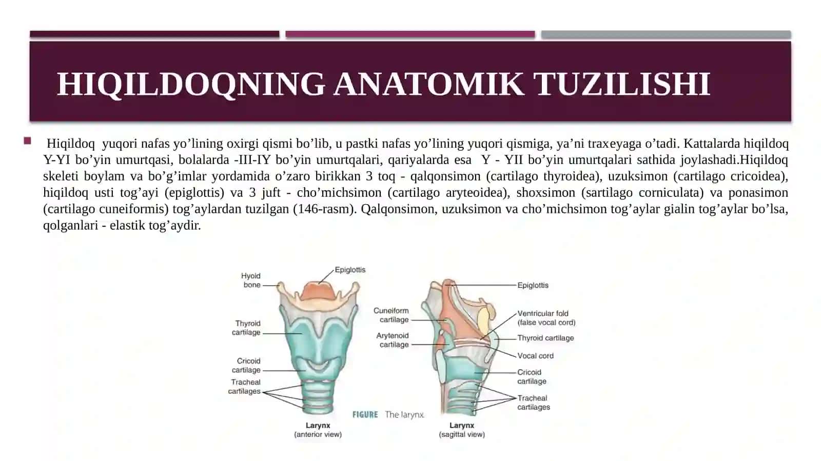 Hiqildoq stenozlari 4