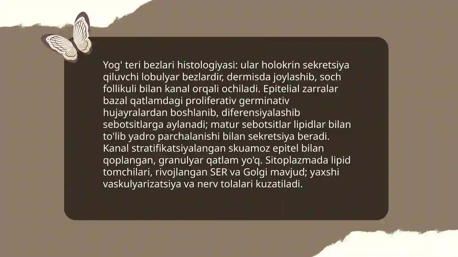 Terining bezlari 4