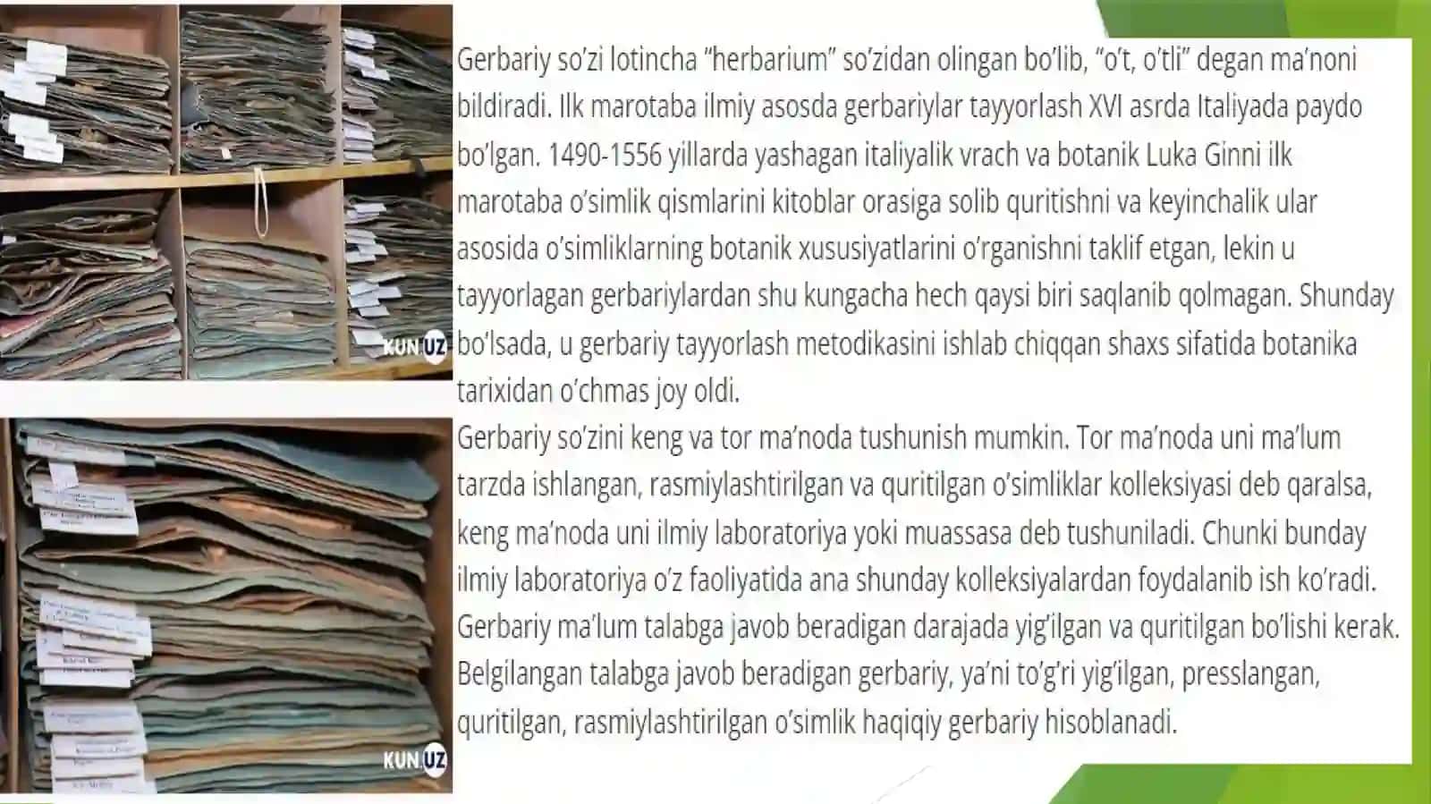 Gerbariy tayyorlash va tayyorlash usullari haqida malumot berish 4
