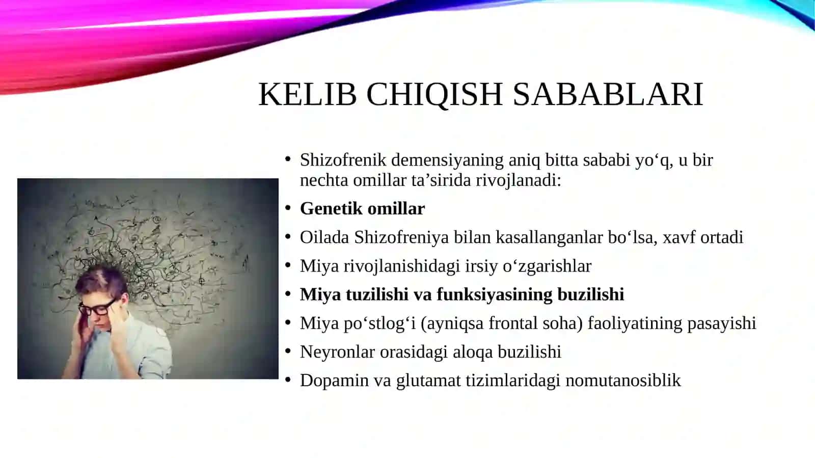 Shizofrenik demensiyaning kelib chiqish sabablari va asoratlari 4