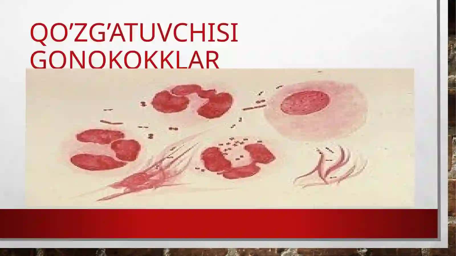 Dermatonevrologiya 4