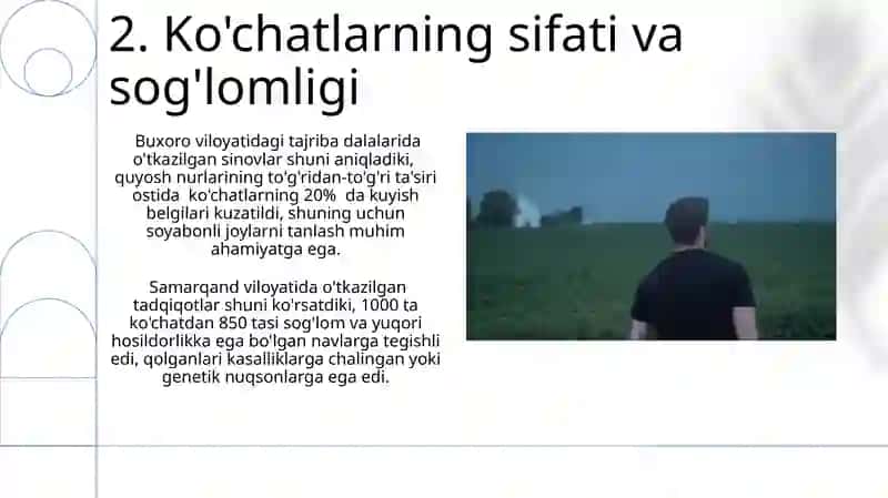 Seleksiya koʻchatzorlari xillari 4